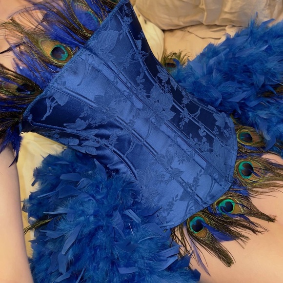 Royal Blue Peacock Feather Costume w/Feather Train - Picture 8 of 14